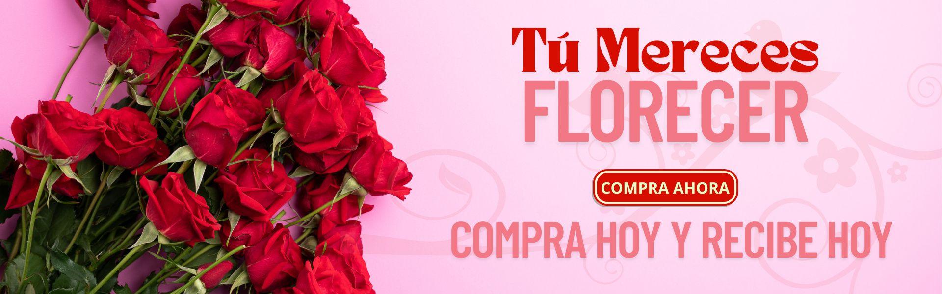 flores|entrega a domicilio|flores armenia